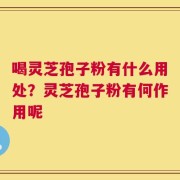 喝灵芝孢子粉有什么用处？灵芝孢子粉有何作用呢