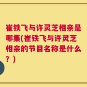 崔铁飞与许灵芝相亲是哪集(崔铁飞与许灵芝相亲的节目名称是什么？)