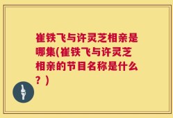 崔铁飞与许灵芝相亲是哪集(崔铁飞与许灵芝相亲的节目名称是什么？)