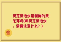 灵芝芽泡水是新鲜的灵芝芽吗(喝灵芝芽泡水，需要注意什么？)