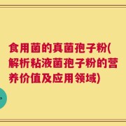 食用菌的真菌孢子粉(解析粘液菌孢子粉的营养价值及应用领域)