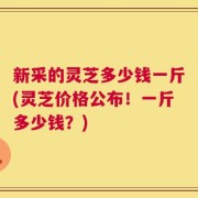 新采的灵芝多少钱一斤(灵芝价格公布！一斤多少钱？)