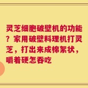 灵芝细胞破壁机的功能？家用破壁料理机打灵芝，打出来成棉絮状，嚼着硬怎吞吃