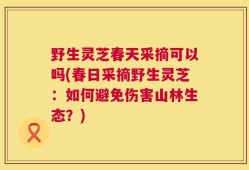 野生灵芝春天采摘可以吗(春日采摘野生灵芝：如何避免伤害山林生态？)