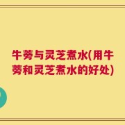 牛蒡与灵芝煮水(用牛蒡和灵芝煮水的好处)