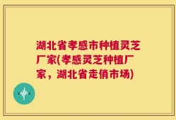 湖北省孝感市种植灵芝厂家(孝感灵芝种植厂家，湖北省走俏市场)