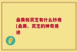桑黄和灵芝有什么妙用(桑黄、灵芝的神奇用途