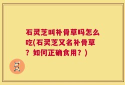 石灵芝叫补骨草吗怎么吃(石灵芝又名补骨草？如何正确食用？)