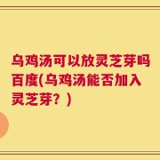 乌鸡汤可以放灵芝芽吗百度(乌鸡汤能否加入灵芝芽？)