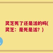 灵芝死了还是活的吗(灵芝：是死是活？)