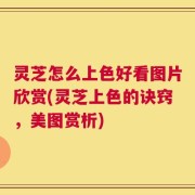灵芝怎么上色好看图片欣赏(灵芝上色的诀窍，美图赏析)