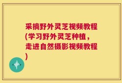 采摘野外灵芝视频教程(学习野外灵芝种植，走进自然摄影视频教程)