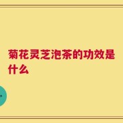 菊花灵芝泡茶的功效是什么