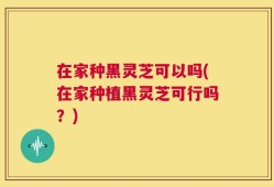 在家种黑灵芝可以吗(在家种植黑灵芝可行吗？)