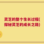 灵芝的整个生长过程(探秘灵芝的成长之路)