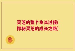 灵芝的整个生长过程(探秘灵芝的成长之路)