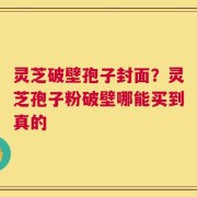 灵芝破壁孢子封面？灵芝孢子粉破壁哪能买到真的