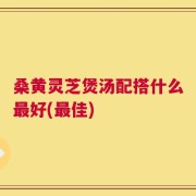 桑黄灵芝煲汤配搭什么最好(最佳)