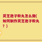 灵芝孢子粉丸怎么做(如何制作灵芝孢子粉丸？)