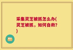 采集灵芝被抓怎么办(灵芝被抓，如何自救？)