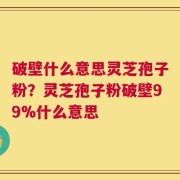 破壁什么意思灵芝孢子粉？灵芝孢子粉破壁99%什么意思
