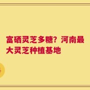 富硒灵芝多糖？河南最大灵芝种植基地