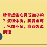 脾胃虚能吃灵芝孢子粉？痰湿体质，脾胃虚寒，气血不足，应该怎么调理