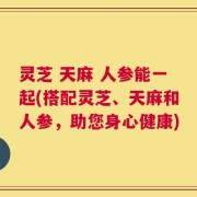 灵芝 天麻 人参能一起(搭配灵芝、天麻和人参，助您身心健康)