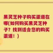 黑灵芝种子购买渠道在哪(如何购买黑灵芝种子？找到适合您的购买渠道！)