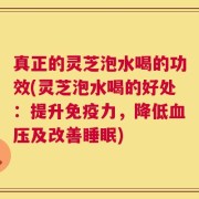 真正的灵芝泡水喝的功效(灵芝泡水喝的好处：提升免疫力，降低血压及改善睡眠)