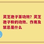 灵芝孢子茶功效？灵芝孢子粉的功效、作用及禁忌是什么
