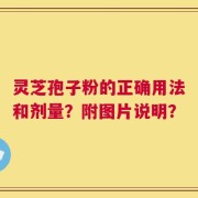 灵芝孢子粉的正确用法和剂量？附图片说明？
