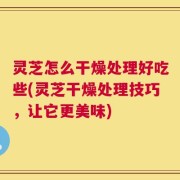 灵芝怎么干燥处理好吃些(灵芝干燥处理技巧，让它更美味)