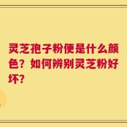 灵芝孢子粉便是什么颜色？如何辨别灵芝粉好坏？