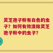 灵芝孢子粉有白色的虫子？如何有效清除灵芝孢子粉中的虫子？