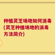 种植灵芝场地如何消毒(灵芝种植场地的消毒方法简介)