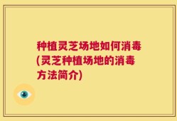 种植灵芝场地如何消毒(灵芝种植场地的消毒方法简介)