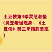土豆侠第3季灵芝老怪(灵芝老怪现身，《土豆侠》第三季精彩呈现)