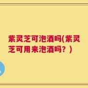 紫灵芝可泡酒吗(紫灵芝可用来泡酒吗？)