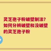 灵芝孢子粉破壁制法？如何分辨破壁和没破壁的灵芝孢子粉