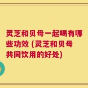 灵芝和贝母一起喝有哪些功效 (灵芝和贝母共同饮用的好处)