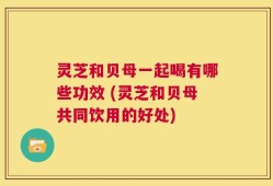 灵芝和贝母一起喝有哪些功效 (灵芝和贝母共同饮用的好处)