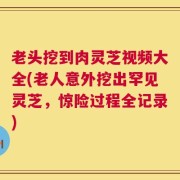 老头挖到肉灵芝视频大全(老人意外挖出罕见灵芝，惊险过程全记录)