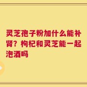 灵芝孢子粉加什么能补肾？枸杞和灵芝能一起泡酒吗