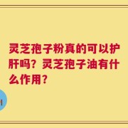 灵芝孢子粉真的可以护肝吗？灵芝孢子油有什么作用？