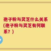 孢子粉与灵芝什么关系(孢子粉与灵芝有何联系？)