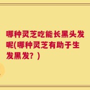 哪种灵芝吃能长黑头发呢(哪种灵芝有助于生发黑发？)