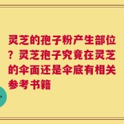 灵芝的孢子粉产生部位？灵芝孢子究竟在灵芝的伞面还是伞底有相关参考书籍