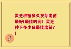 灵芝种植多久发芽出苗最好(最佳时间！灵芝种下多少日最佳出苗？)