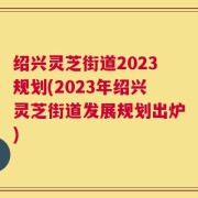 绍兴灵芝街道2023规划(2023年绍兴灵芝街道发展规划出炉)